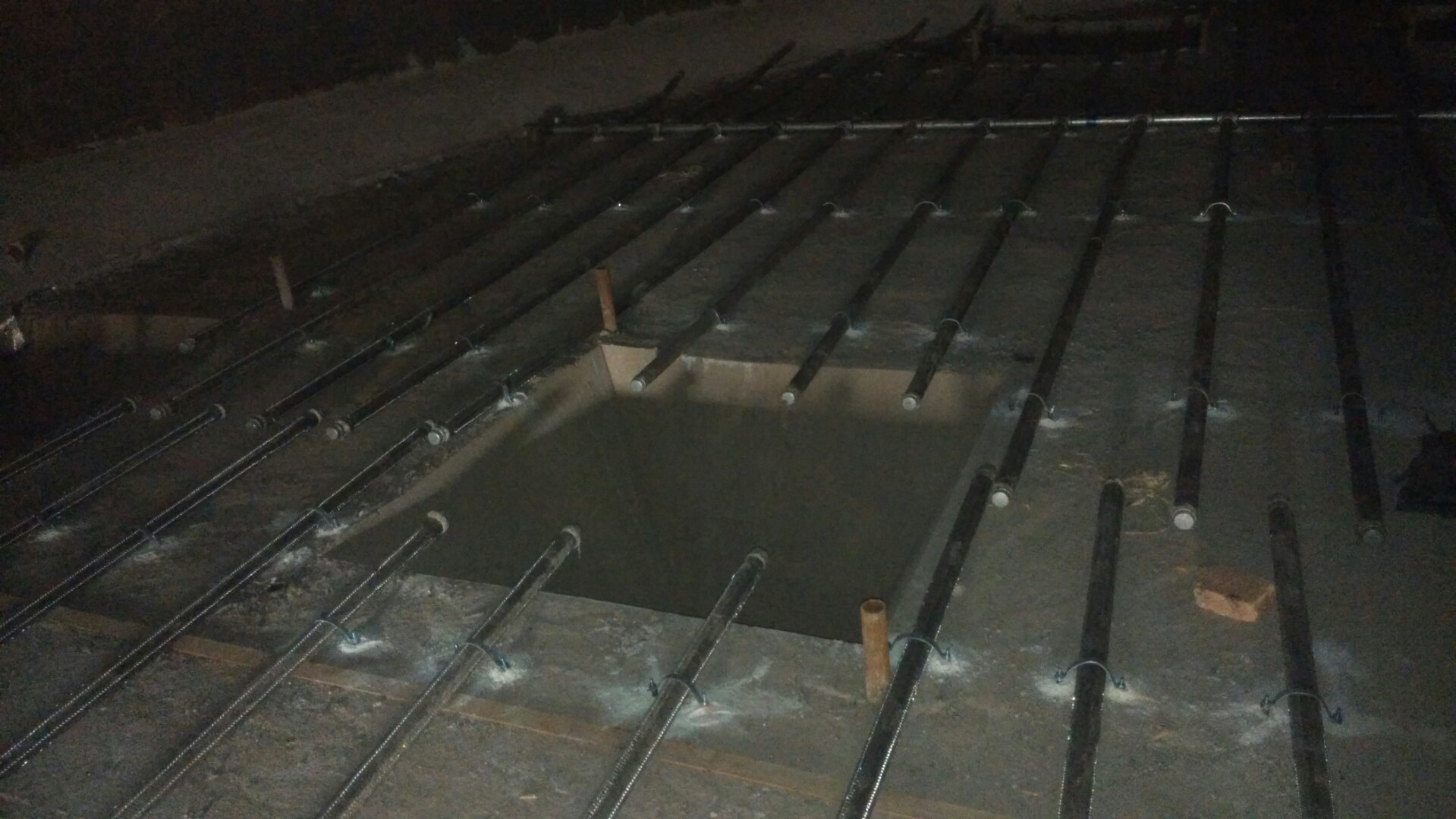 沙湖原种场流化棒