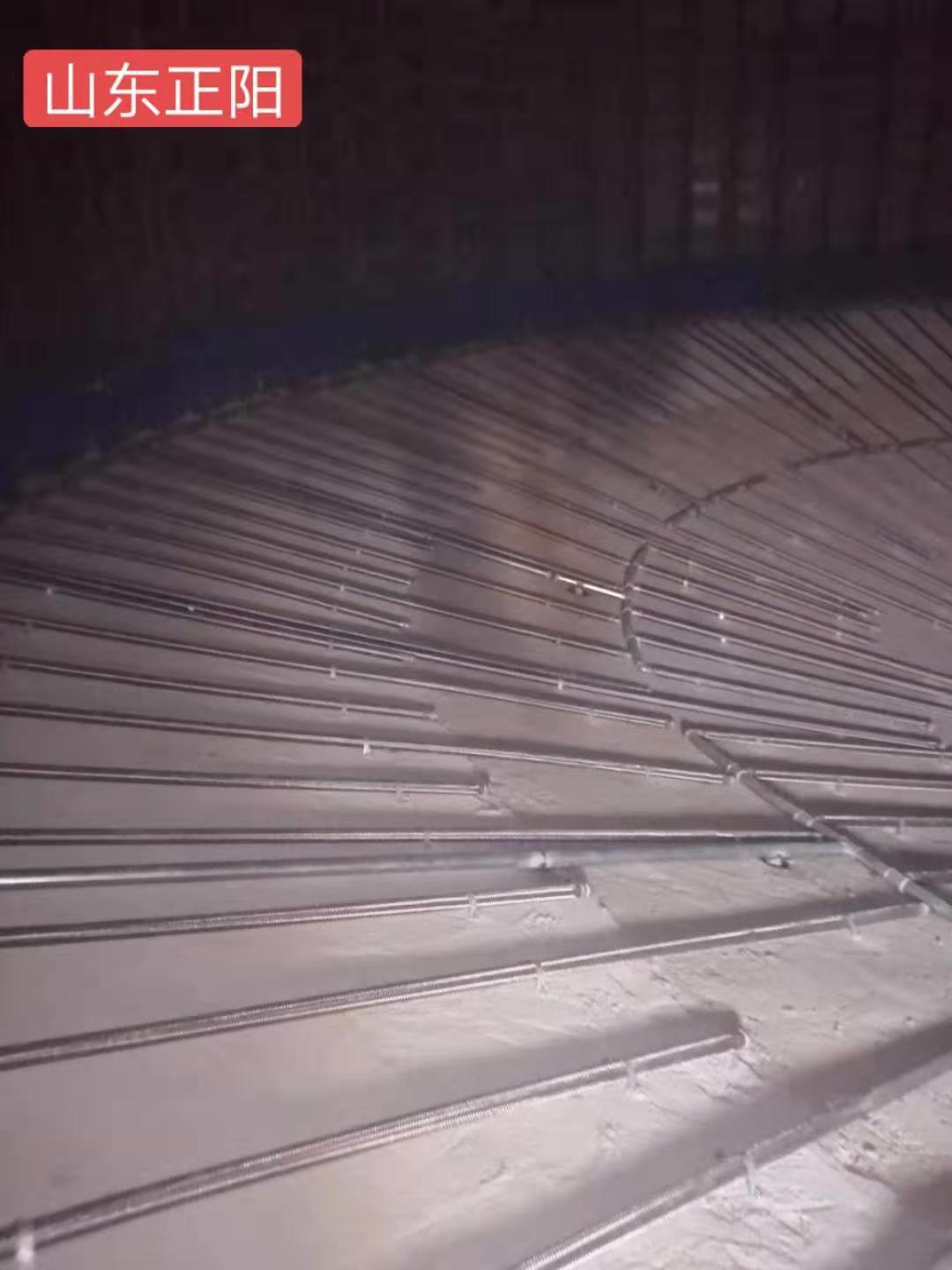 沙湖原种场流化棒