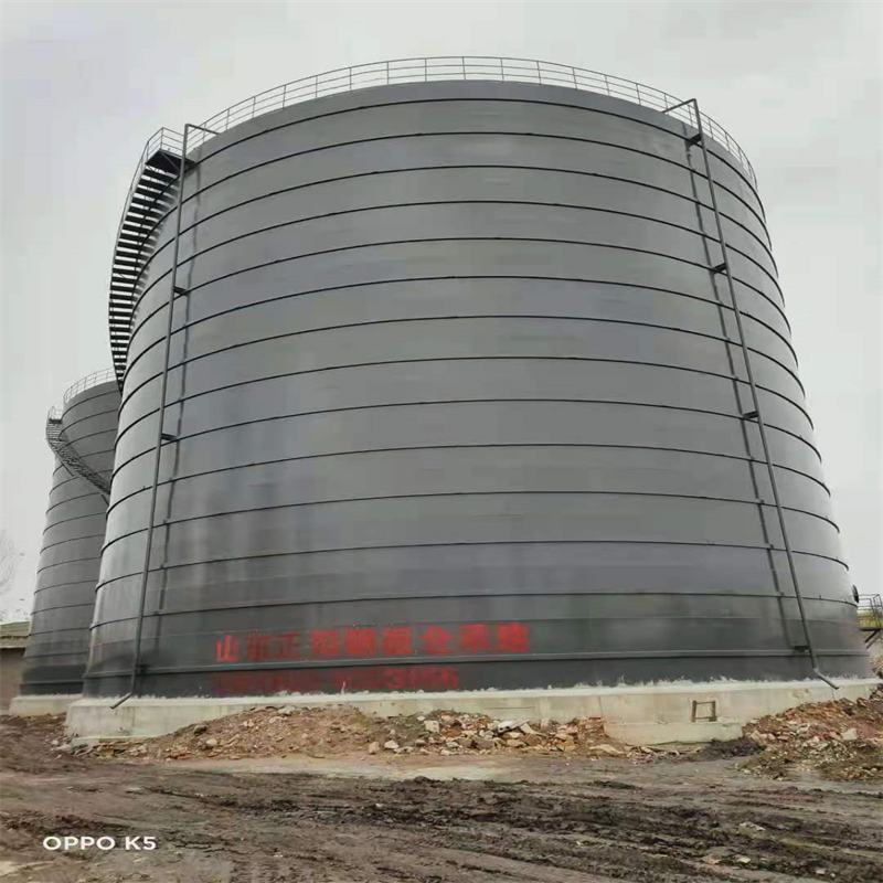 沙湖原种场3万吨大型钢板库