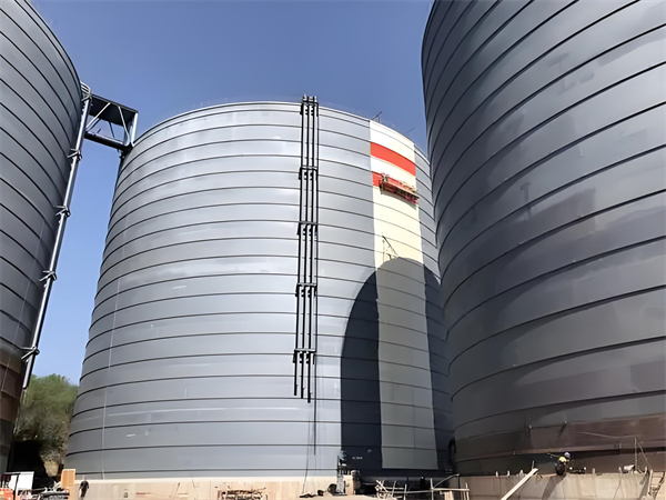 沙湖原种场焦粉仓